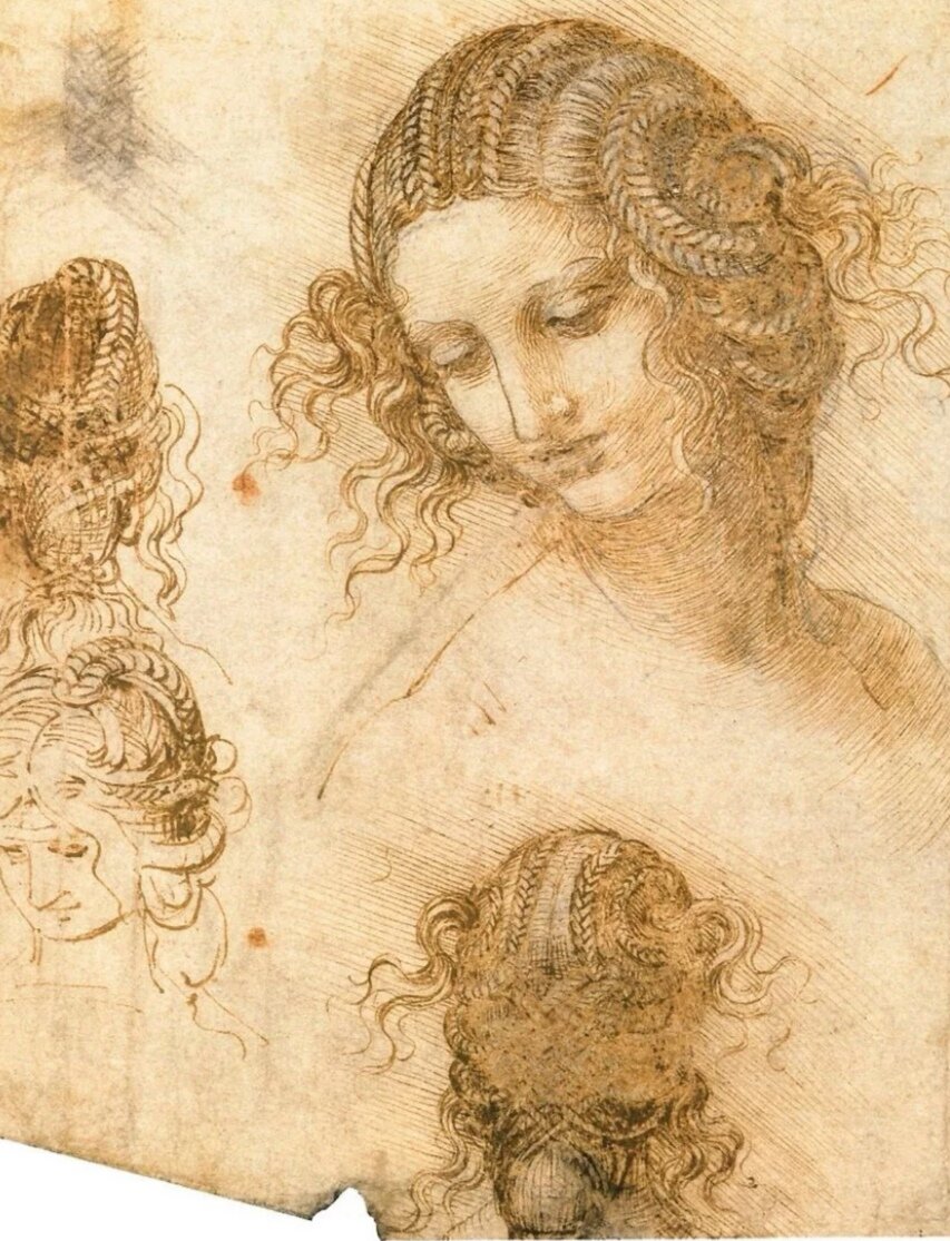 Эскиз Леонардо да Винчи 