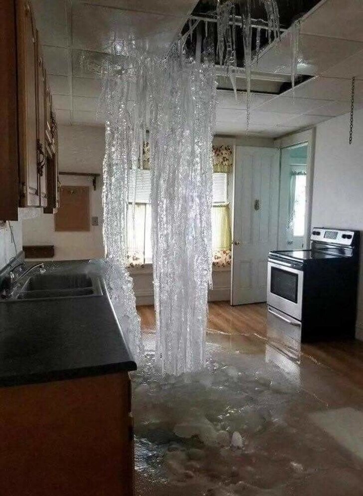 © IAmGodMode / reddit  