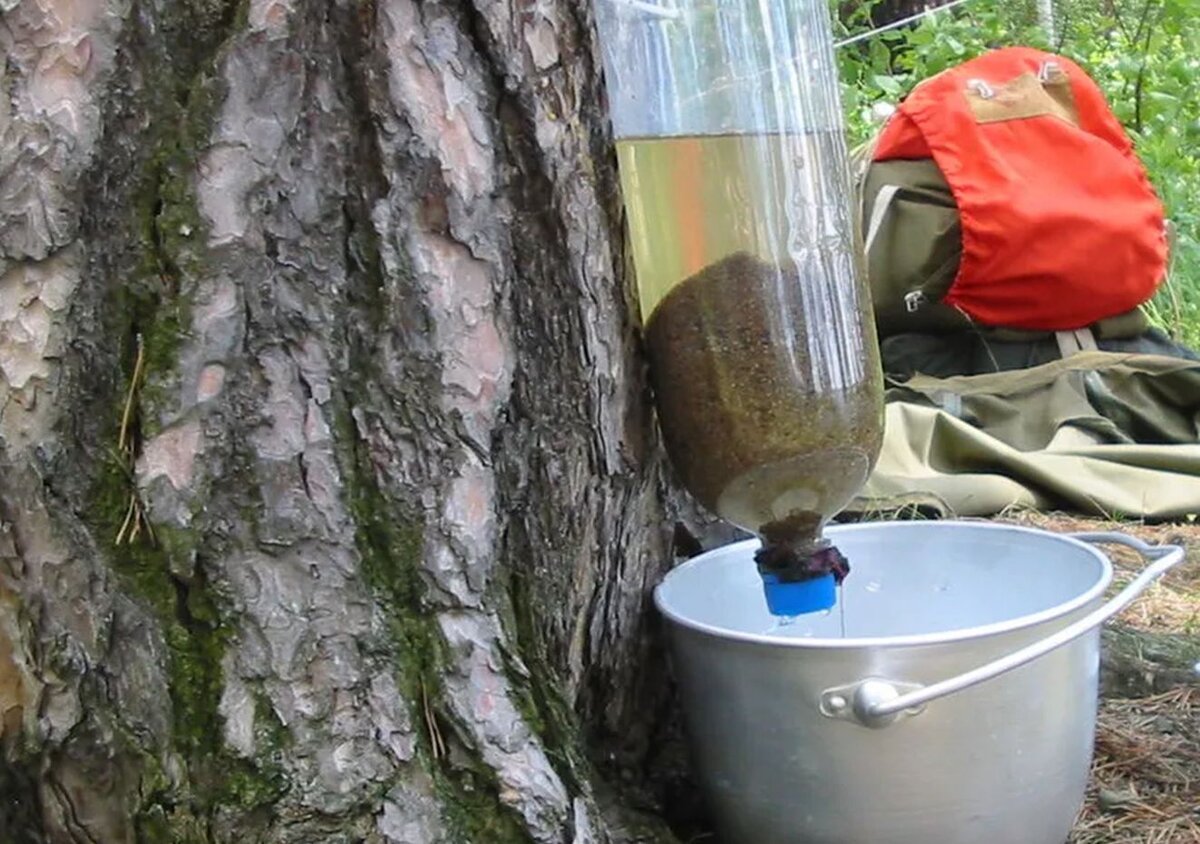 Как самостоятельно очистить воду. Фильтр для воды в лесу. Самодельный фильтр для воды. Фильтрация воды в походе. Фильтр для воды в полевых условиях.