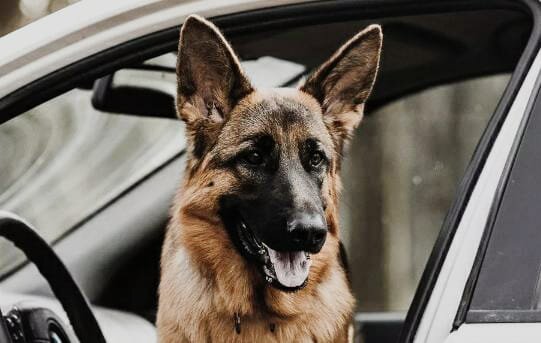 Вторая длительная поездка спустя 5 месяцев.