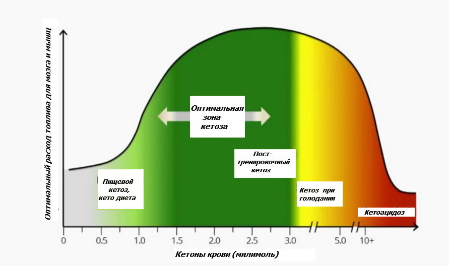 Кетоз. Кетос. Кетоз что это такое у человека. Уровень кетонов в крови при кетозе. Показатель кетонов при кетозе.