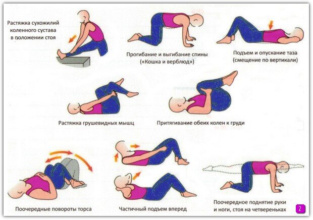 Комплекс упражнений для развития мышц спины