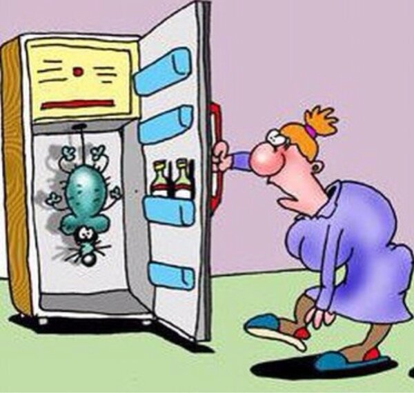 взято на яндекс картинки