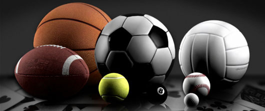 делаем ставки на все виды спорта!