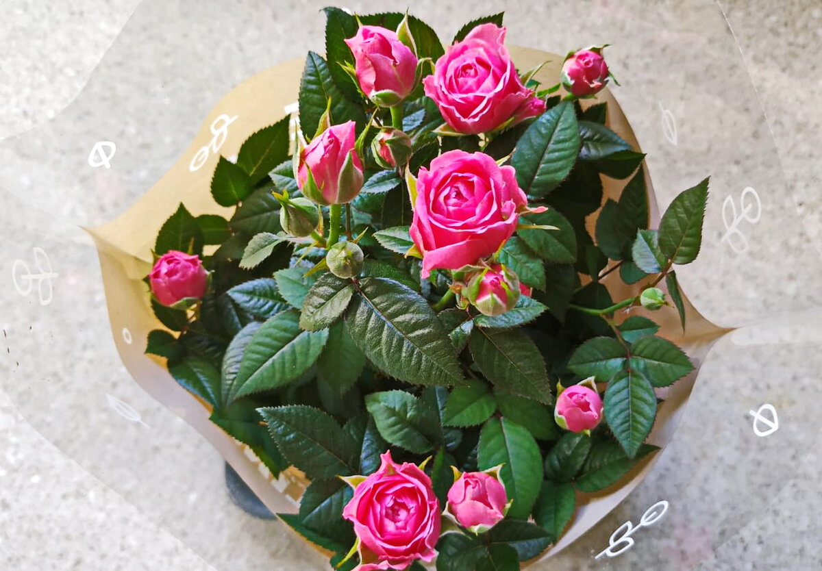 Те самые розы