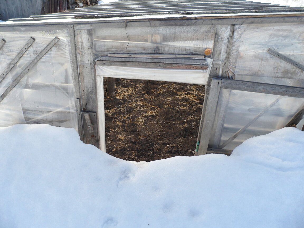 Вид спереди