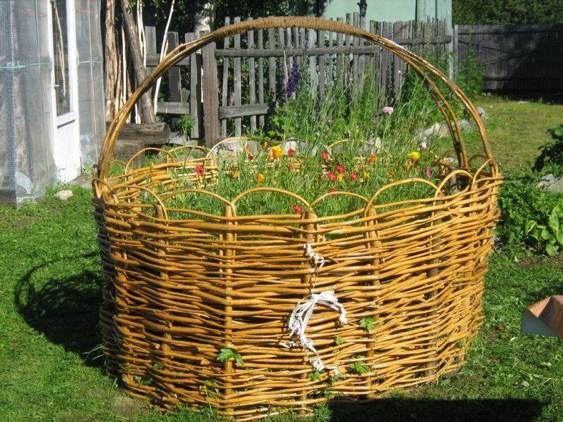 Источник:https://grass-market.su/