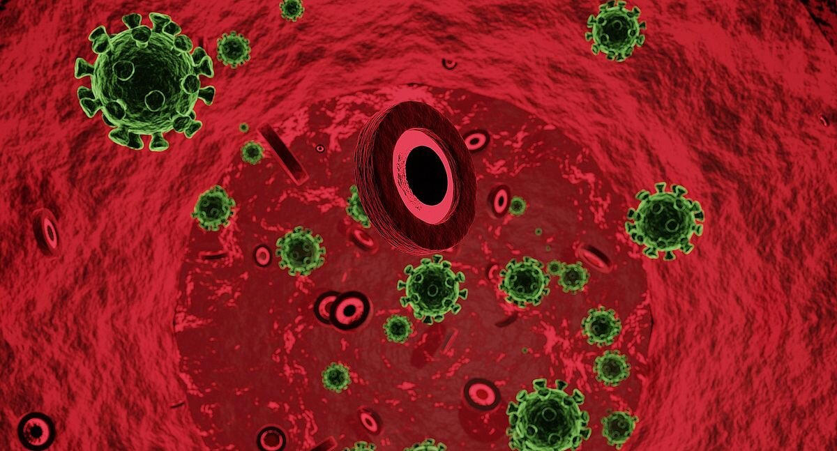 Фото: https://pixabay.com/