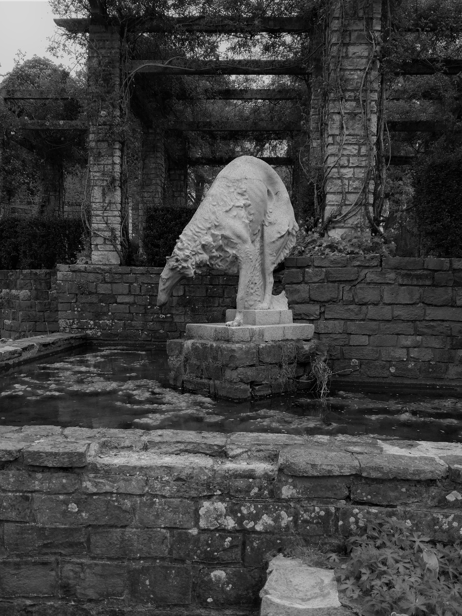 Заберите с этой бренной планеты. 
Не хочу, как у всех... Хочу, как во сне:
Гулять по траве, гулять по росе
И заваривать чай…
