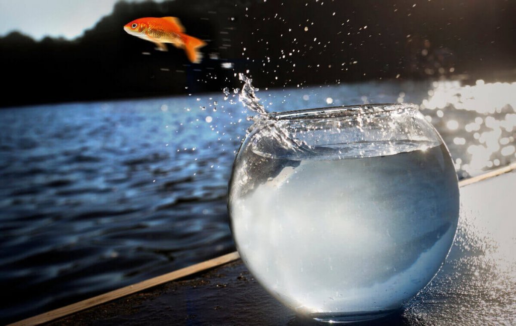 Картинка взята из открытых источников (Яндекс картинки)