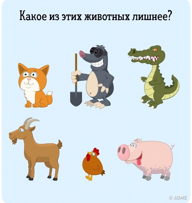 Загадка №1