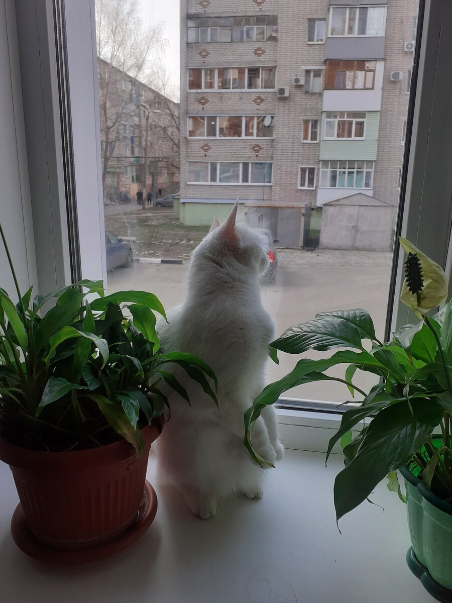 А улица так манит!