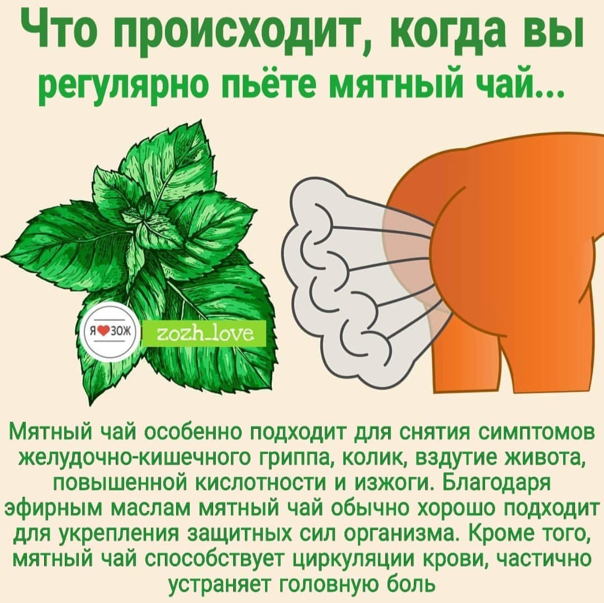 почему мужчинам нельзя пить. почему мужчинам нельзя пить. чем полезен алкоголь. распитие спиртных напитков. вред алкоголизма.