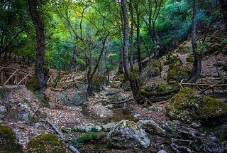 долина бабочек