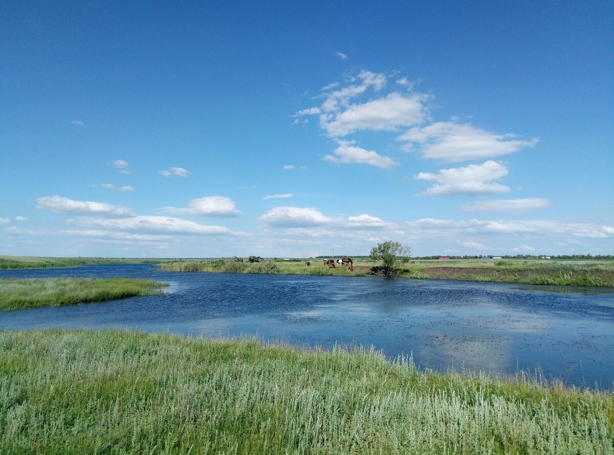 Летом пейзажи конечно красивее