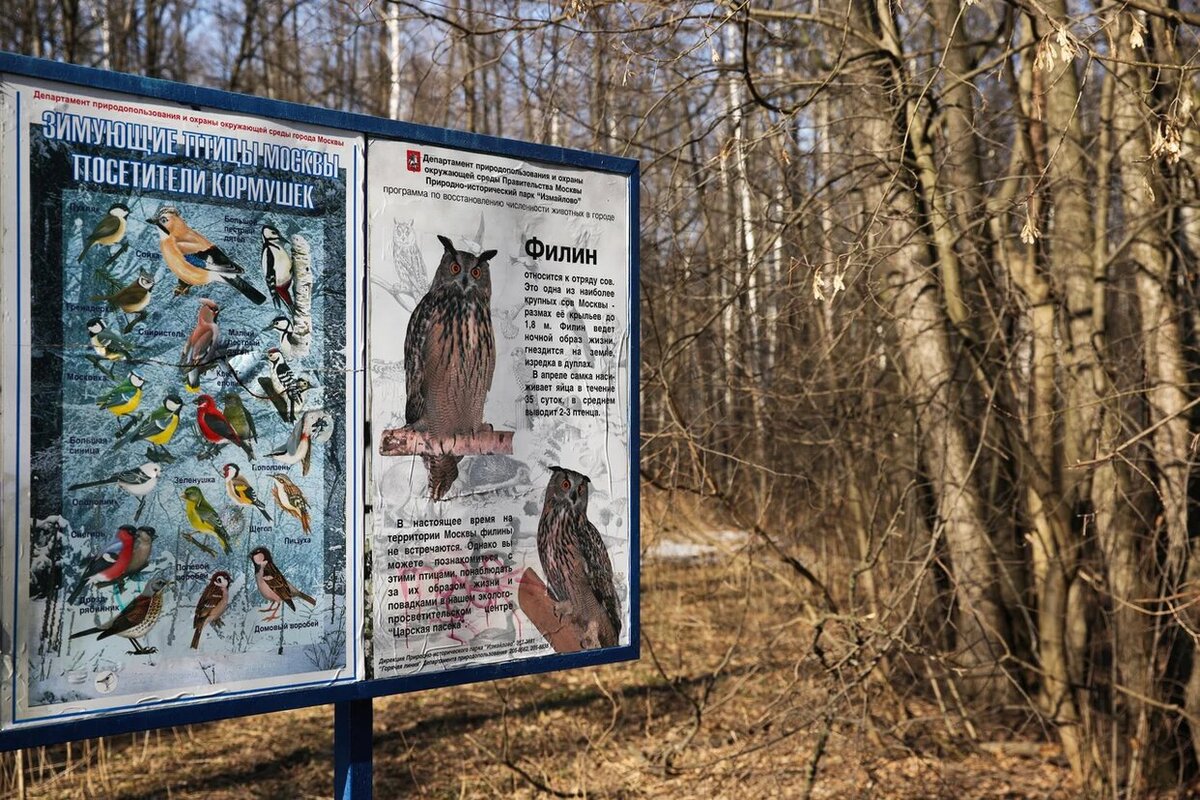 Фото из собственного архива