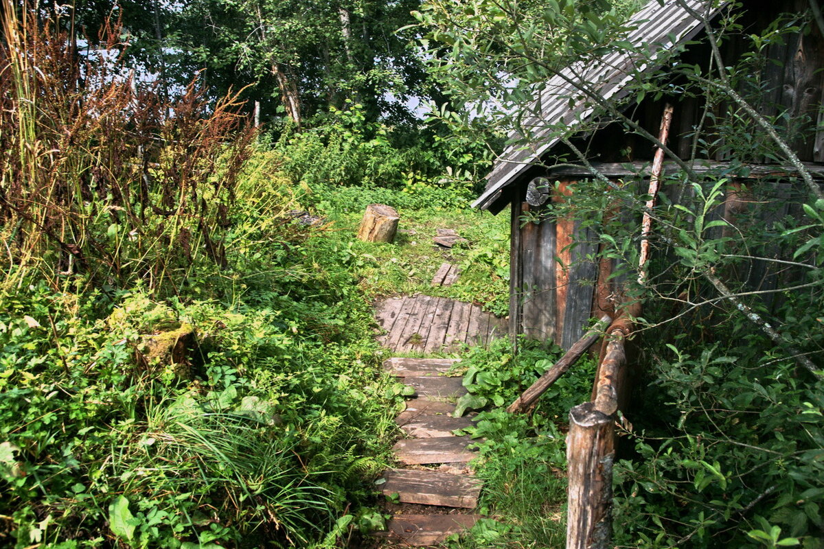 Тропинка, ведущая к бане.