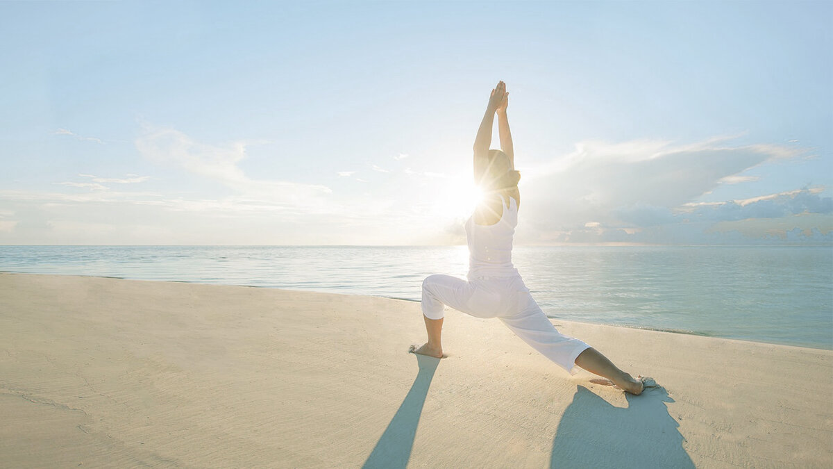 «Мы являемся тем, чем мы занимаемся постоянно» (Аристотель)