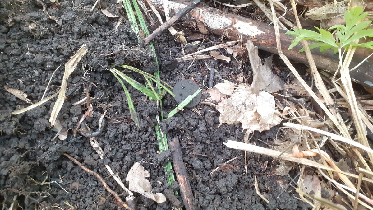 Вот он, заветный кругляш))