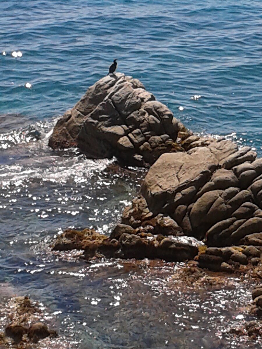 Вы любите Испанию? Я очень!