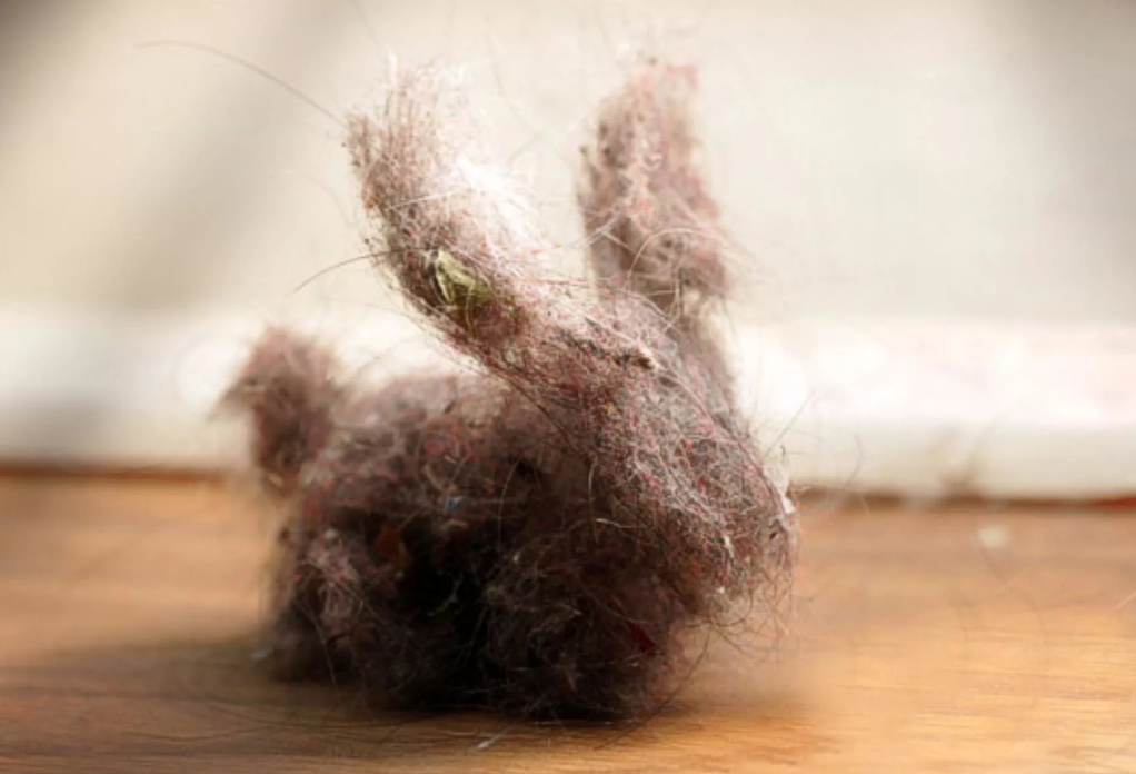 Откуда берется пыль