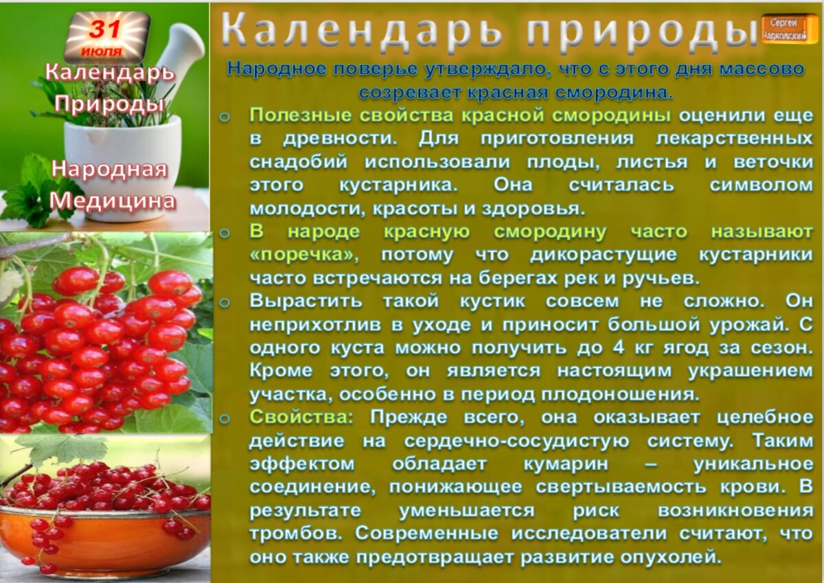 28 июля приметы