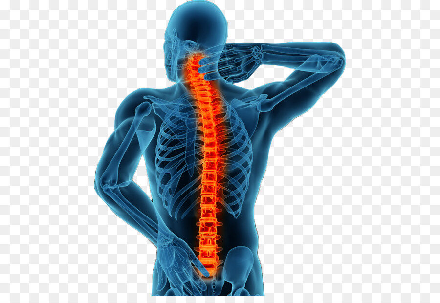 Источник: https://img2.freepng.ru/20180706/bhi/kisspng-vertebral-column-minimally-invasive-spine-surgery-5b3f28784dbf05.7650272015308657843185.jpg