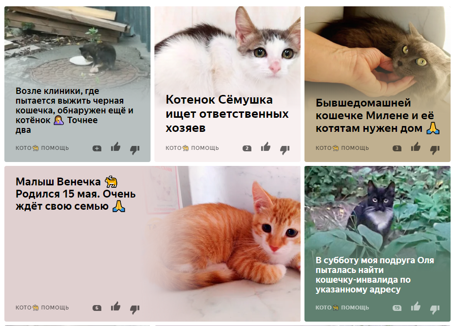 Проект кото мани. Кото камаш. Кото код. Цели до 18 лет  кото...