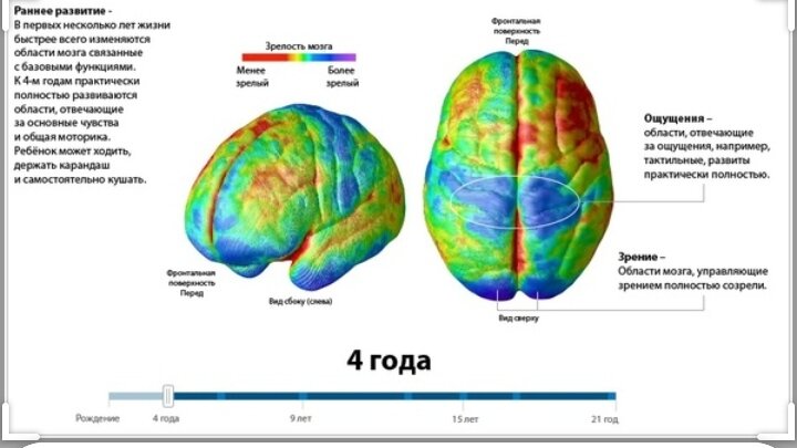 Фото взято Google картинки