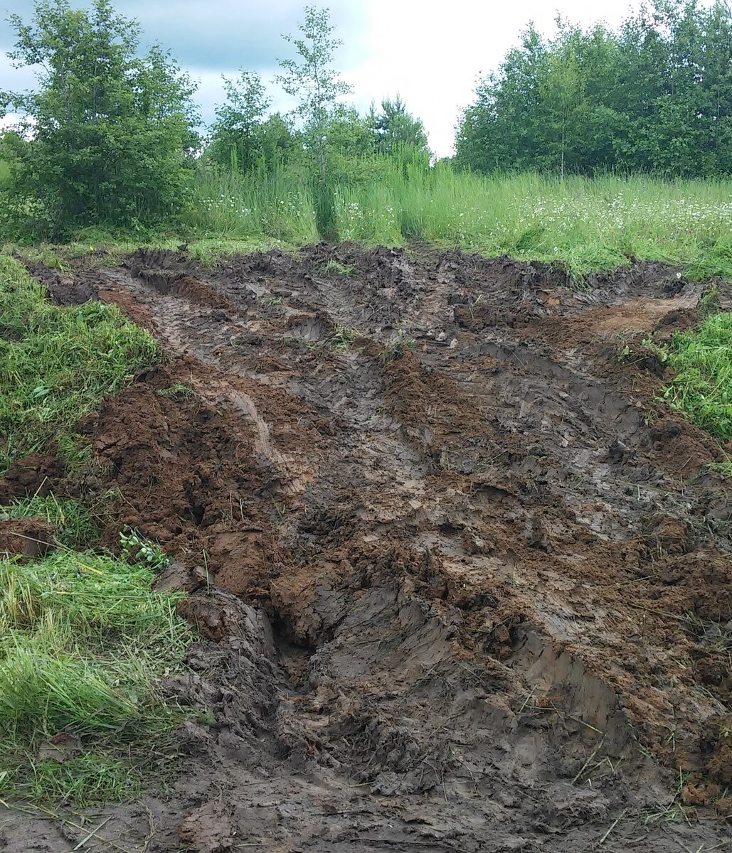 Въезд на участок .  Фото из личного архива.