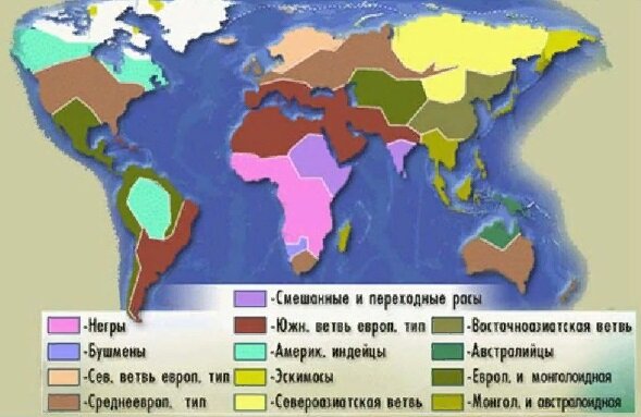 Европеоидная раса — Рувики: Интернет-энциклопедия