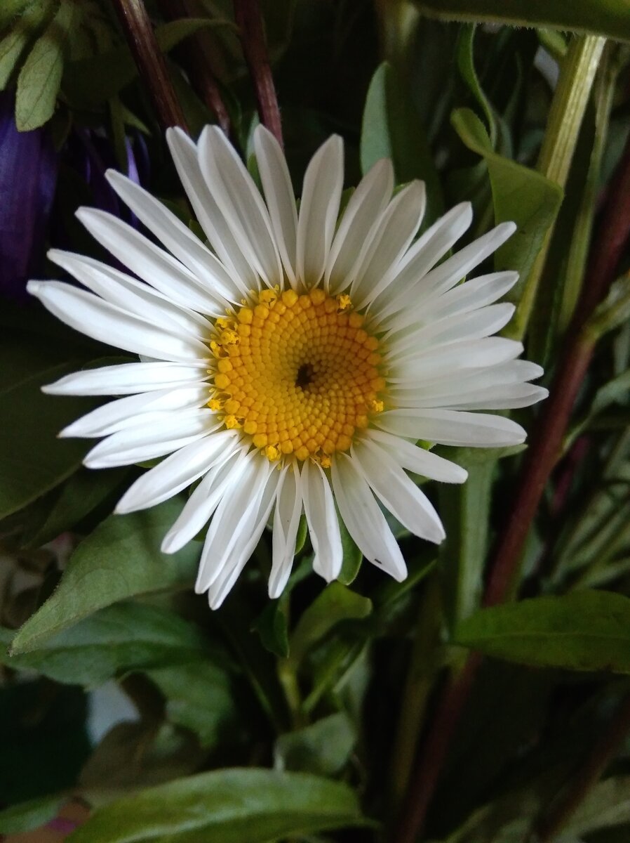 С днем рождения, Тамара!