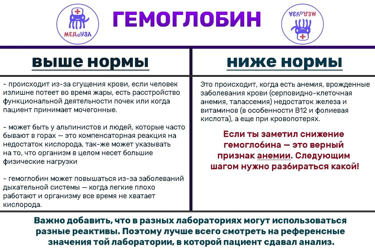 Как читать анализ крови? | Часть 1: гематокрит, гемоглобин и эритроциты |  МЕДВУЗА - школа медицины | Дзен