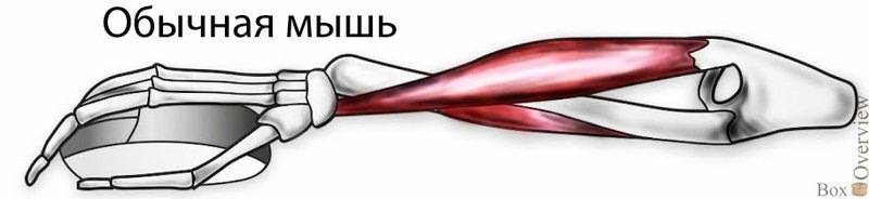 картинка с сайта habr.com