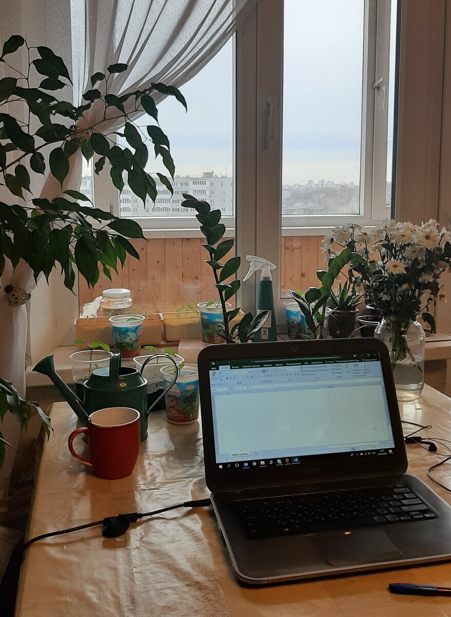 Под клеёнкой лакированный стол-книжка :)