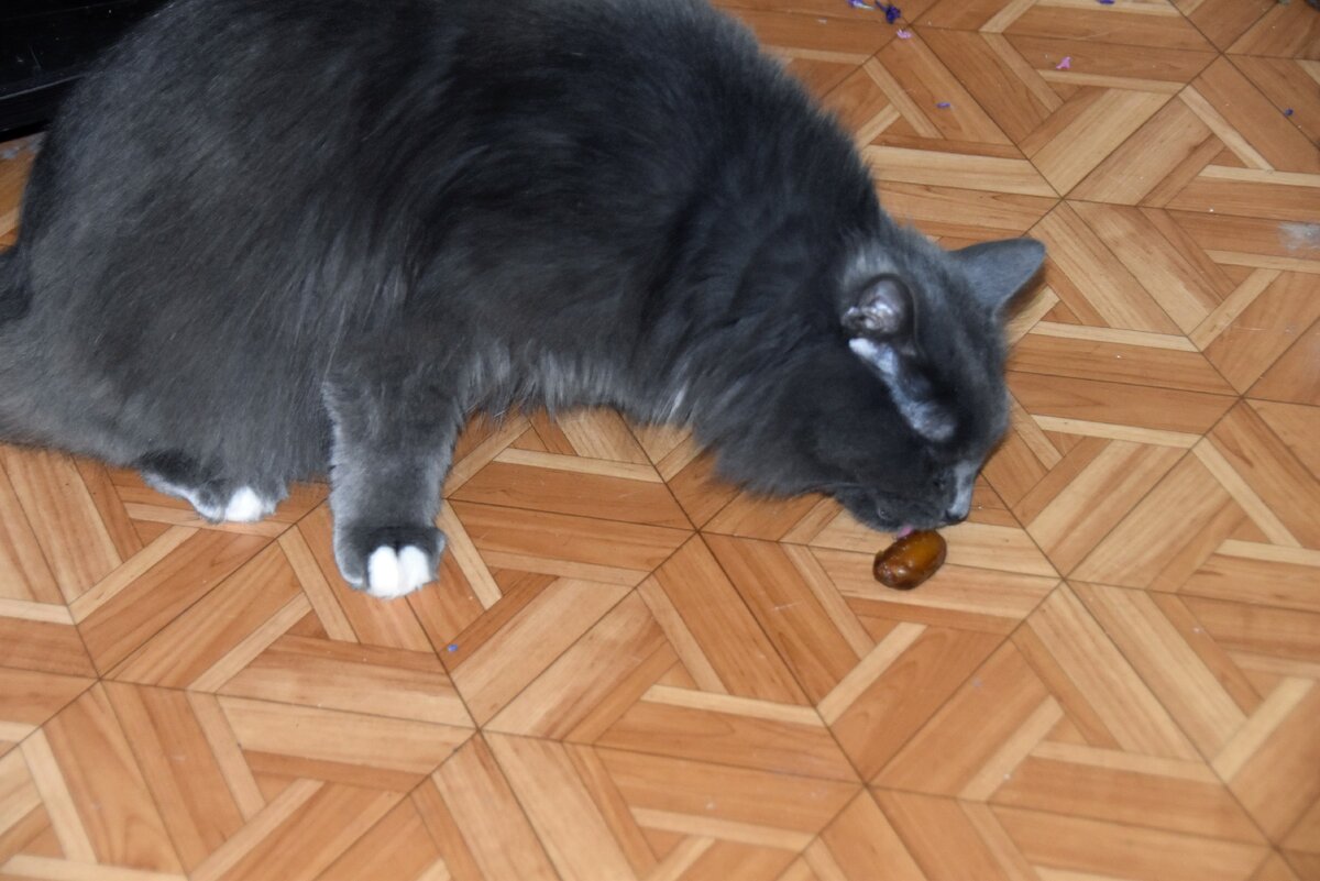 Дастин и финик