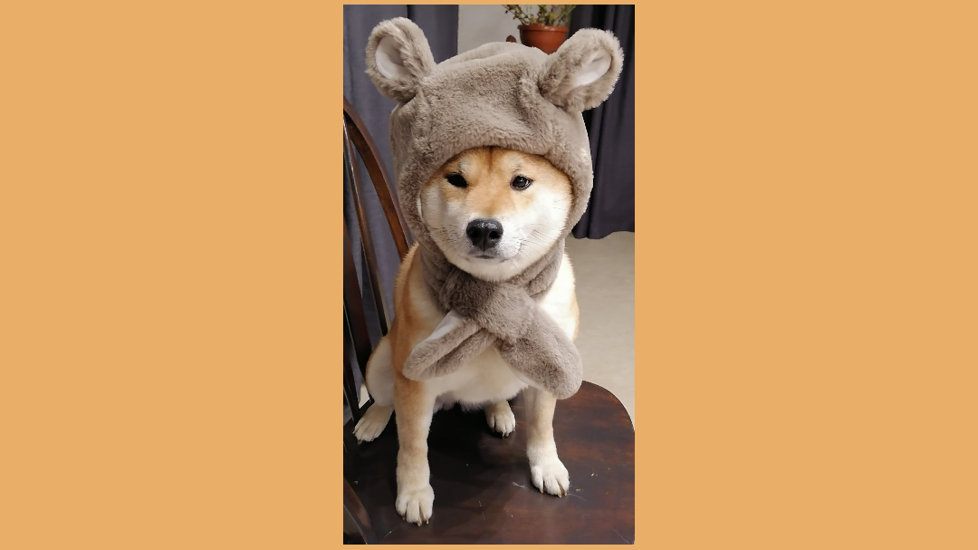 Милый медвежонок) 