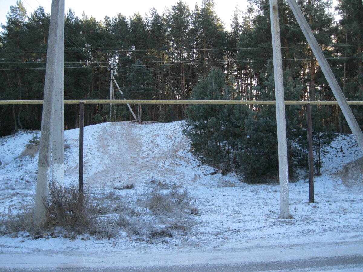 Вышли из дома, перешли две улицы и вот он  Сосновый лес.