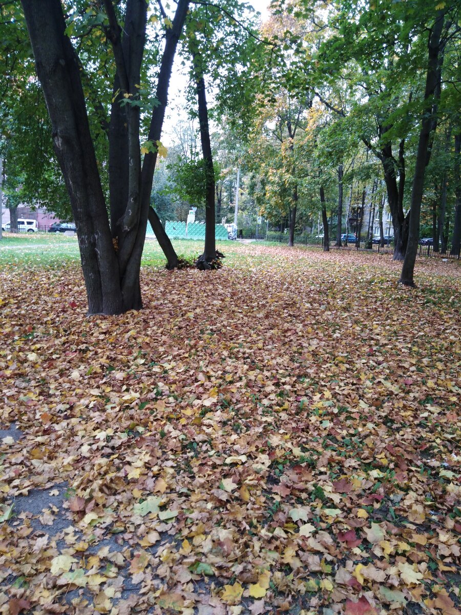 Типичная придомовая территория 