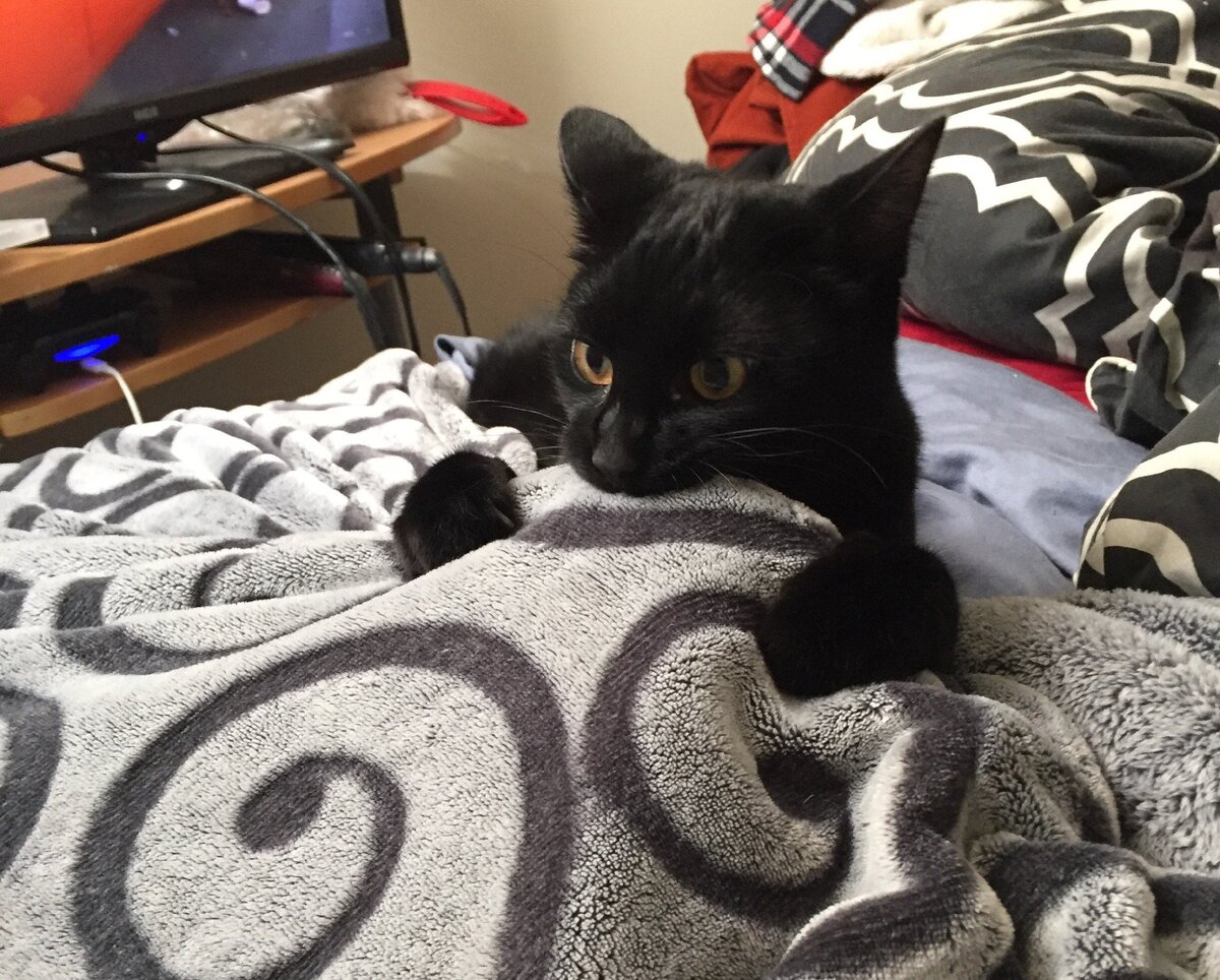 Источник: reddit