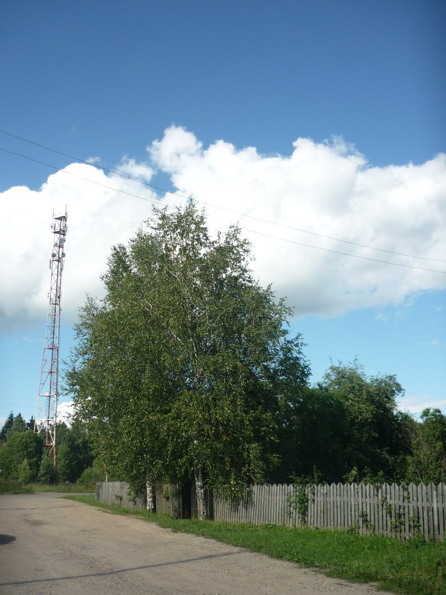 На деревенской улице. Фото автора.