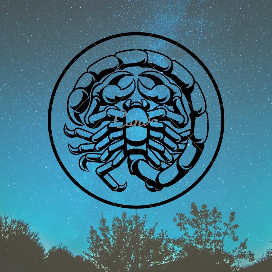 восьмой знак зодиака