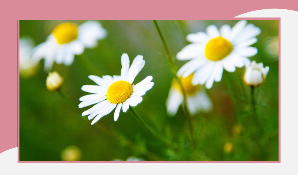 Фотография из открытых источников