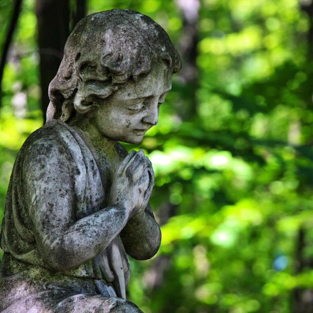 Автор фото: Давид Дивайн. Ссылка на источник: https://www.instagram.com/daviddivine/