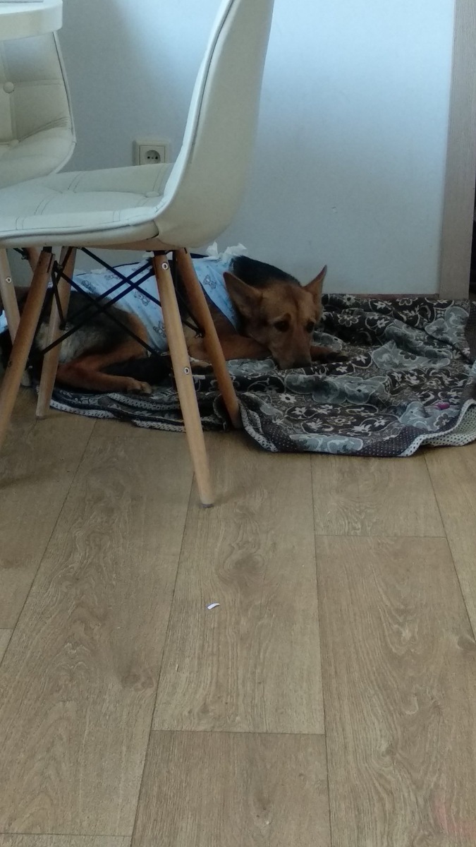 Лора через полчаса после стерелизации