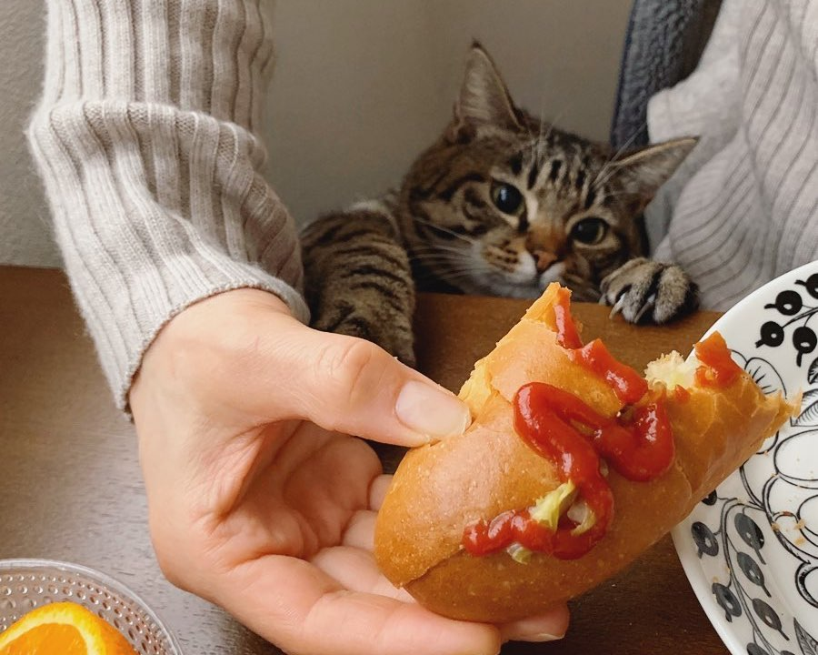 Источник: https://pbs.twimg.com/media/EVz2WNvUMAQo86P.jpg