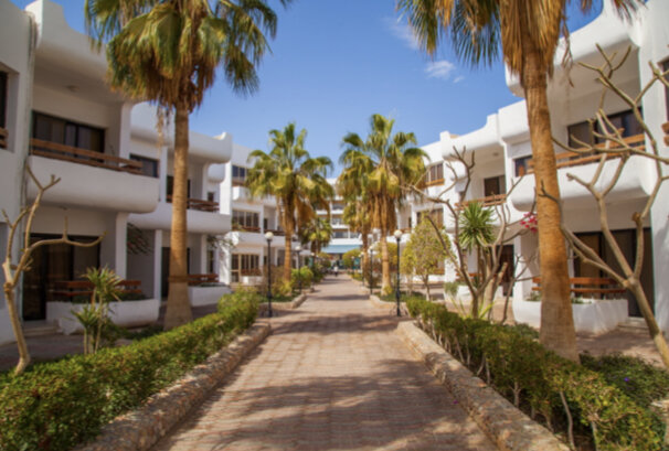 Скрин автора с сайта www.pegast.ru 