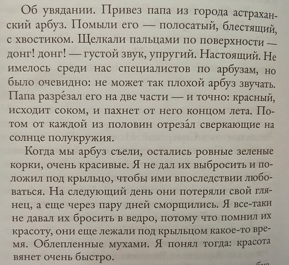 Отрывок из романа "Авиатор" Евгения Водолазкина