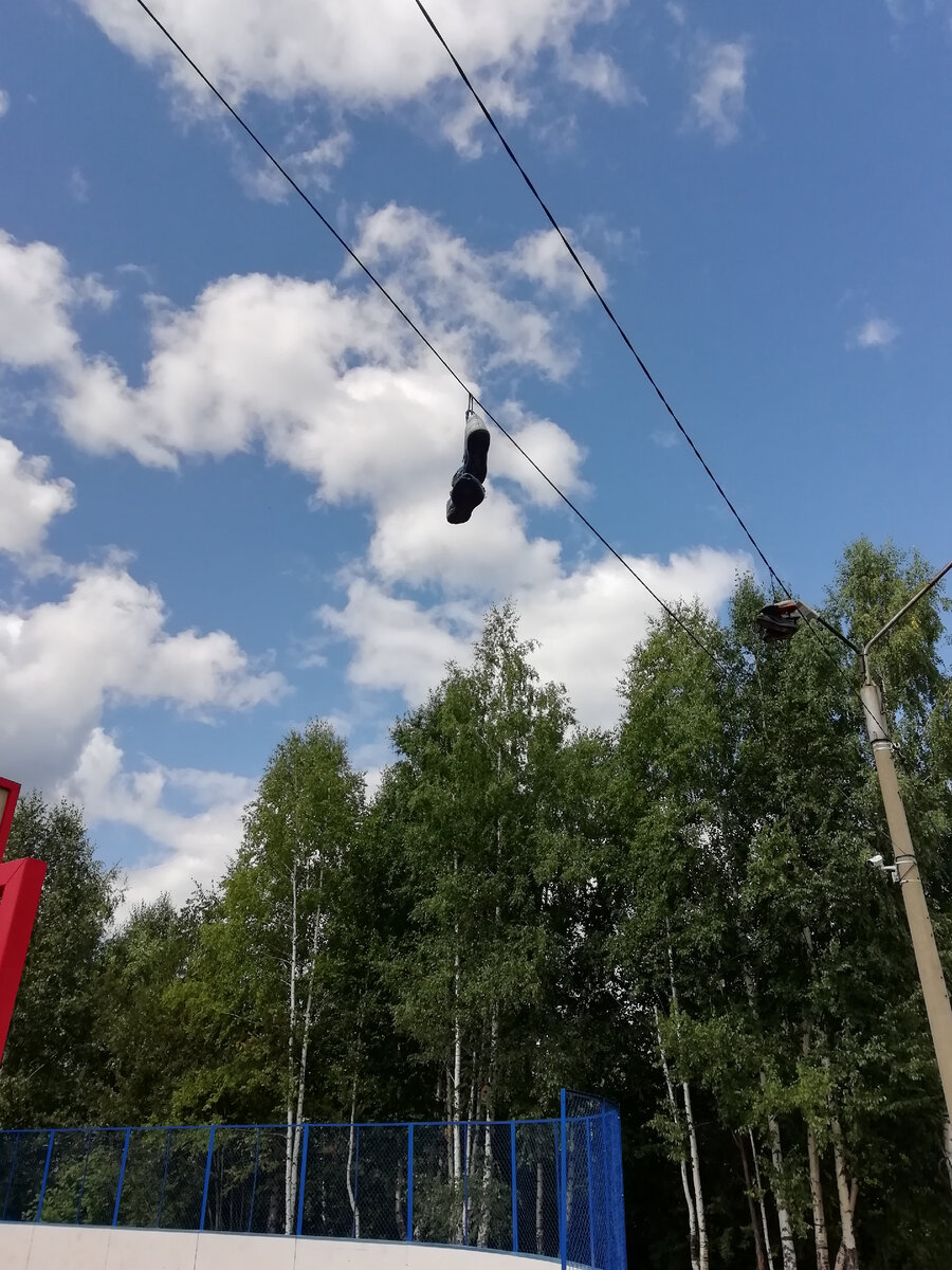 Фото автора. 