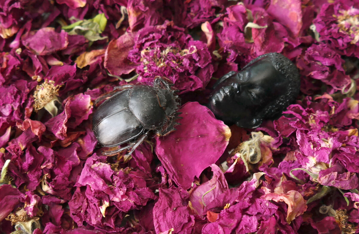 СКАЗ ДВАДЦАТЬ ПЕРВЫЙ